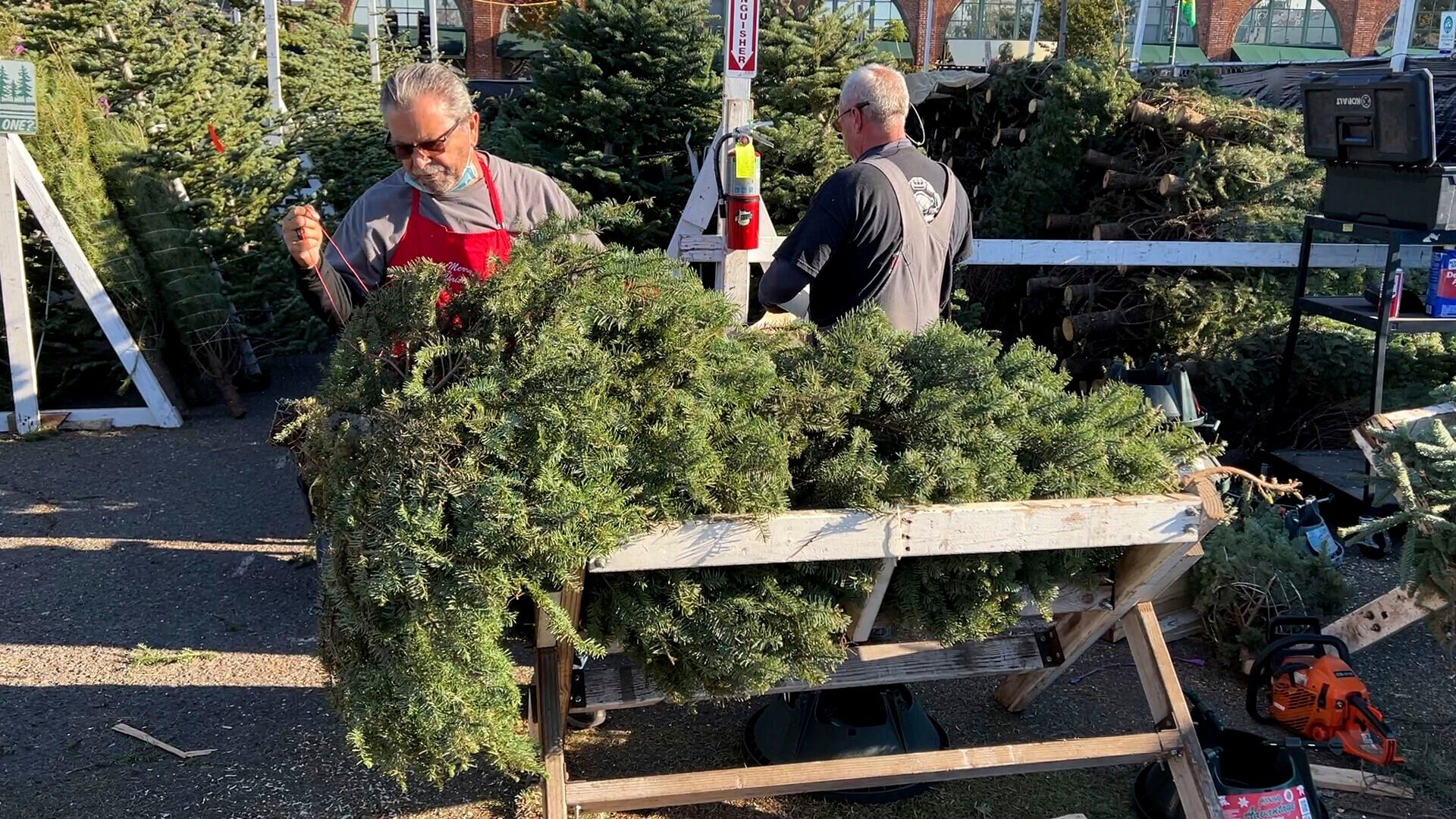 Christmas Tree Shortage